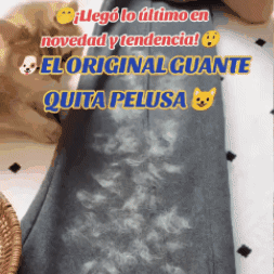 ¡Adiós al pelo de tu mascota! 🐶 Cepillo Vapor 3 en 1 + Guante Quita Pelos